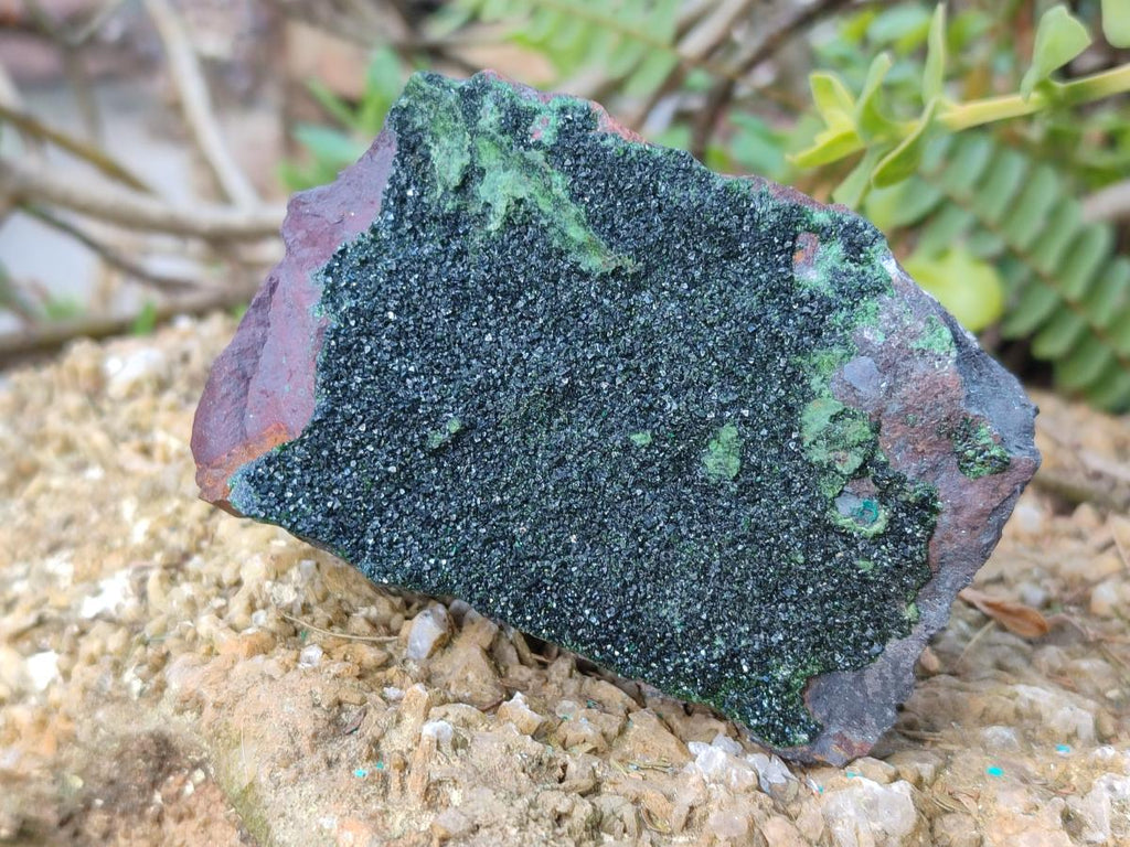 Natural Crystalline Libethenite Specimens on Dolomite Matrix x 4 From Shituru, Congo