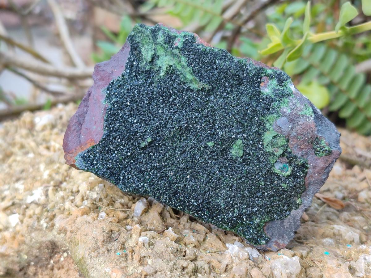 Natural Crystalline Libethenite Specimens on Dolomite Matrix x 4 From Shituru, Congo