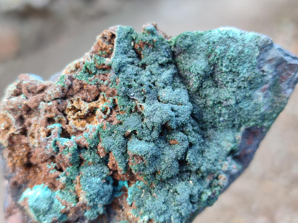 Natural Crystalline Libethenite Specimens on Dolomite Matrix x 4 From Shituru, Congo