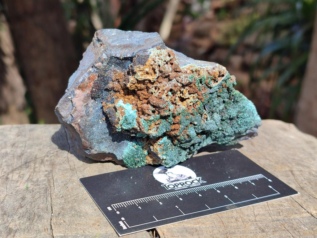 Natural Crystalline Libethenite Specimens on Dolomite Matrix x 4 From Shituru, Congo