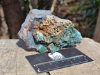 Natural Crystalline Libethenite Specimens on Dolomite Matrix x 4 From Shituru, Congo