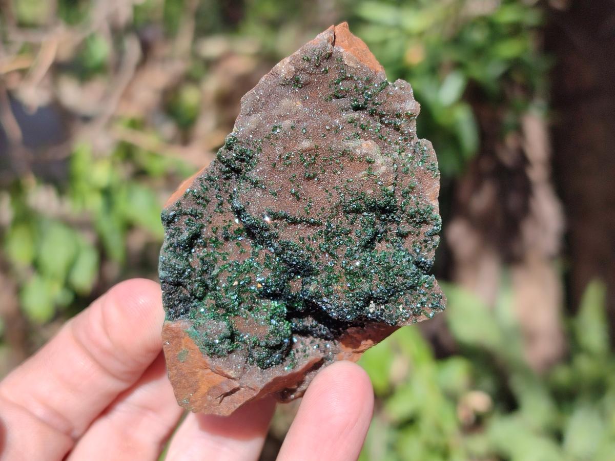 Natural Crystalline Libethenite Specimens on Dolomite Matrix x 4 From Shituru, Congo