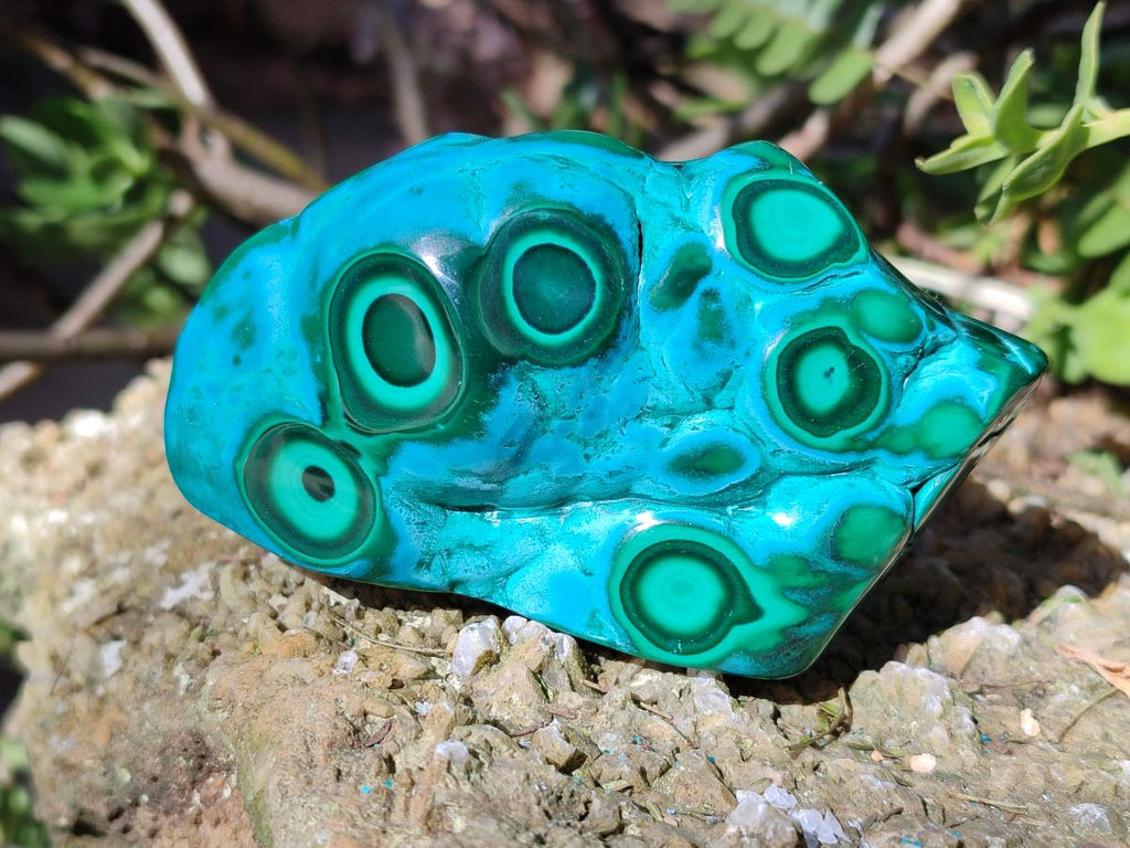 Polished Malacolla Free Forms x 3 From Kulukuluku, Congo
