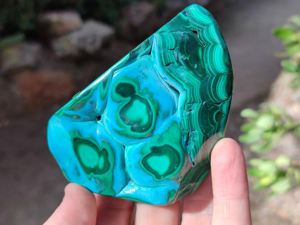 Polished Malacolla Free Forms x 3 From Kulukuluku, Congo