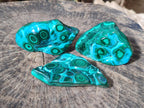 Polished Malacolla Free Forms x 3 From Kulukuluku, Congo