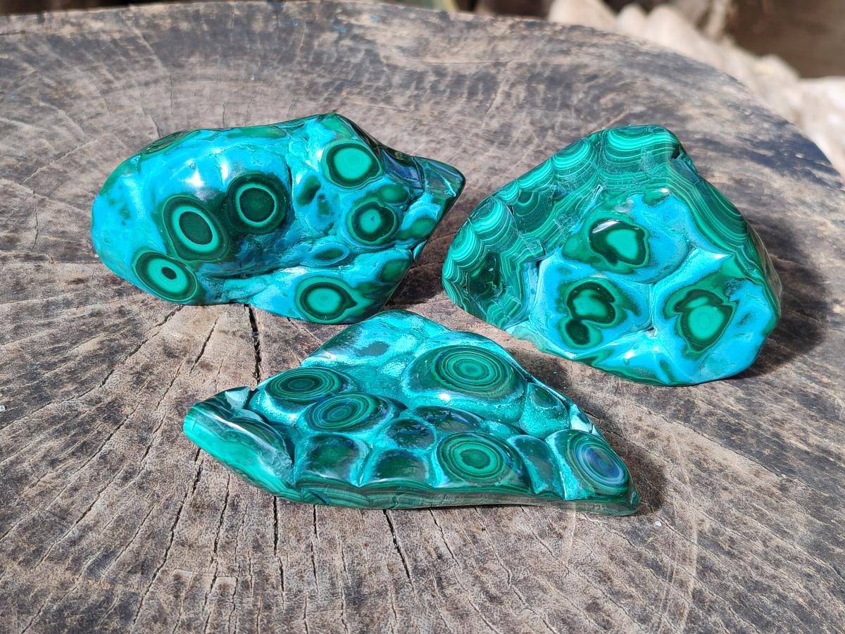 Polished Malacolla Free Forms x 3 From Kulukuluku, Congo