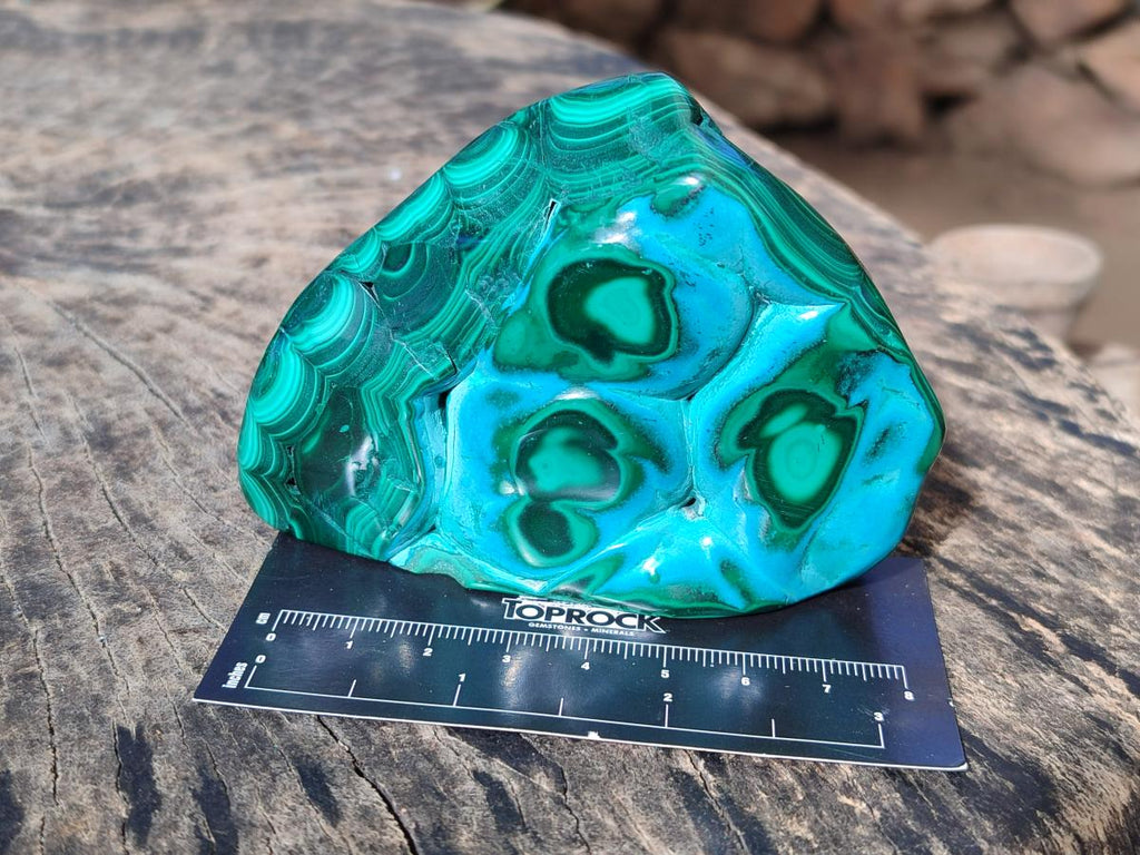 Polished Malacolla Free Forms x 3 From Kulukuluku, Congo