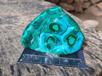 Polished Malacolla Free Forms x 3 From Kulukuluku, Congo