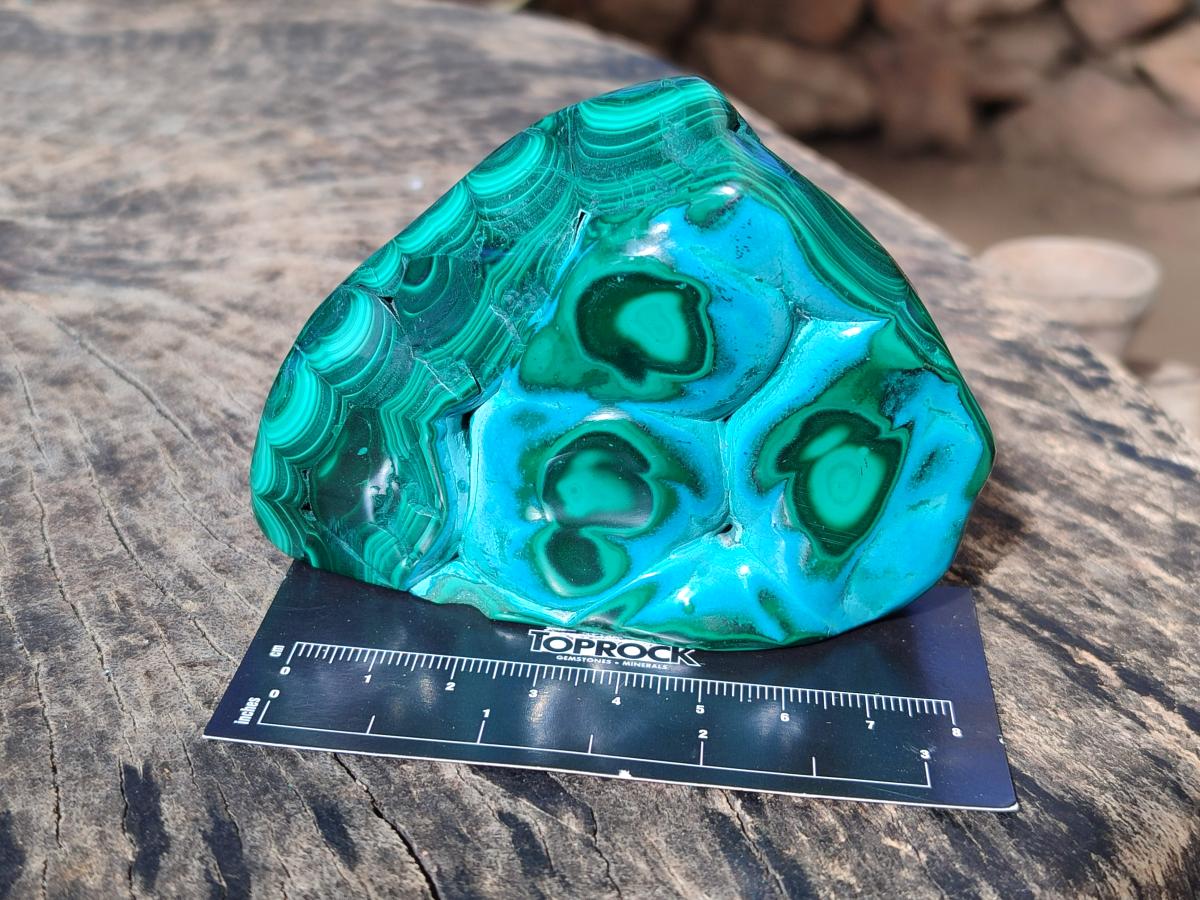 Polished Malacolla Free Forms x 3 From Kulukuluku, Congo