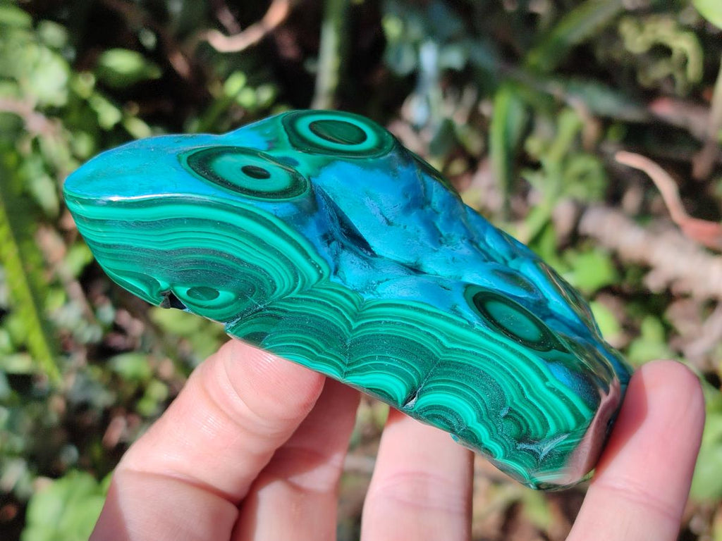 Polished Malacolla Free Forms x 3 From Kulukuluku, Congo