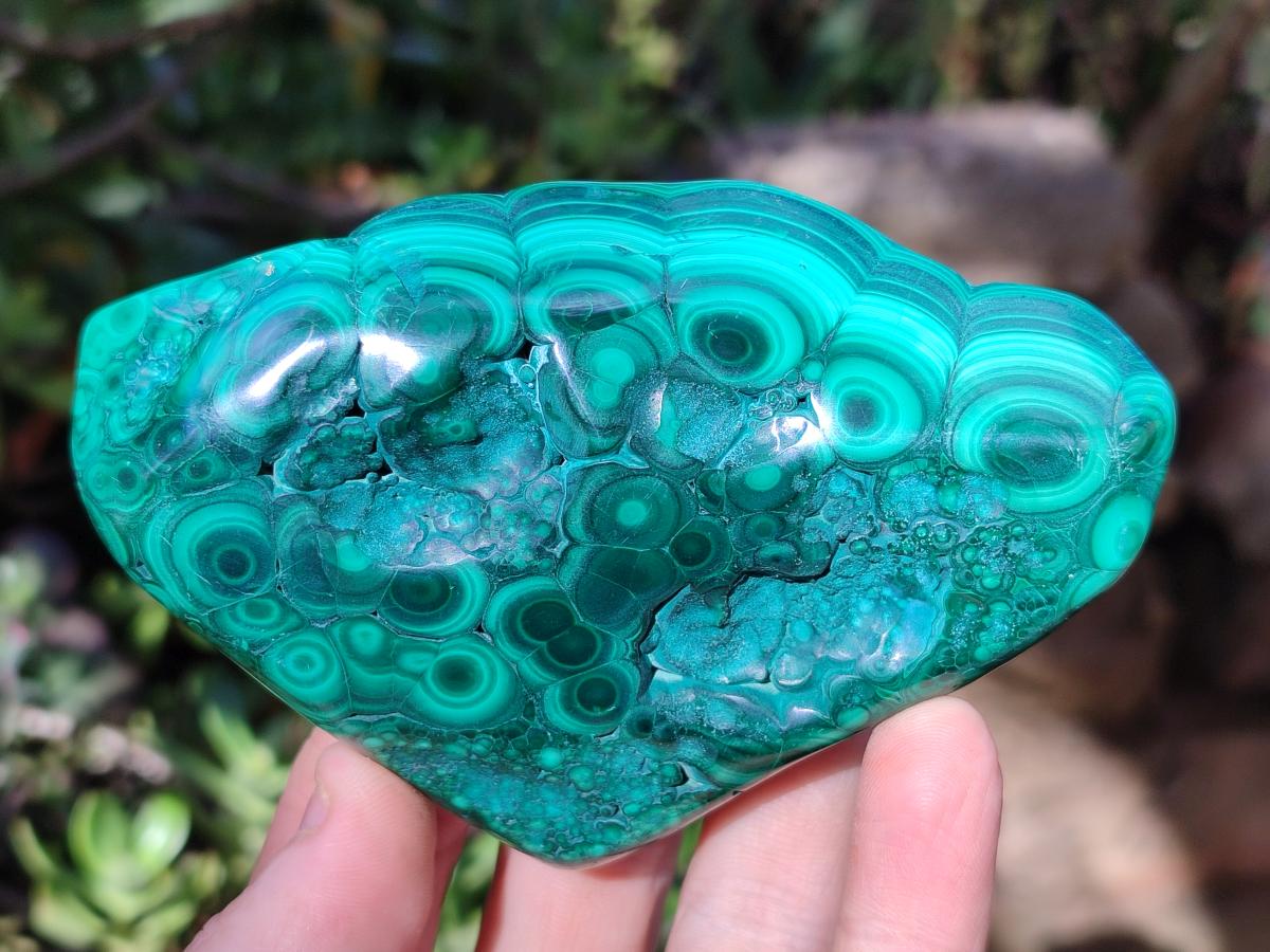 Polished Malacolla Free Forms x 3 From Kulukuluku, Congo