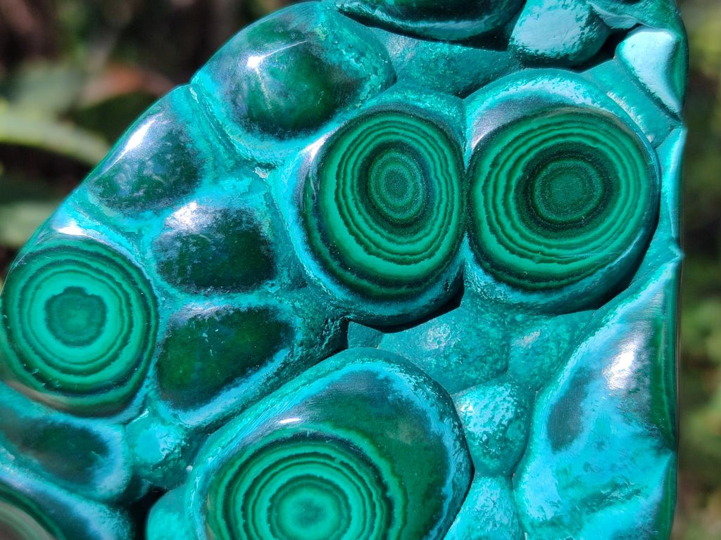 Polished Malacolla Free Forms x 3 From Kulukuluku, Congo