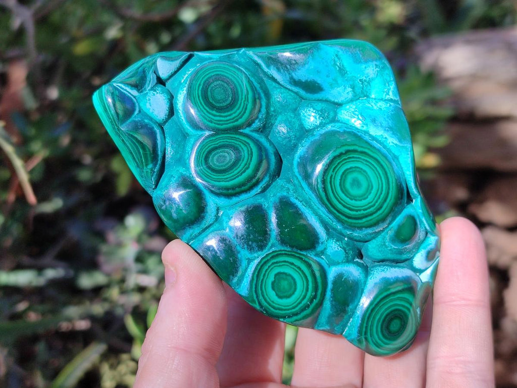 Polished Malacolla Free Forms x 3 From Kulukuluku, Congo