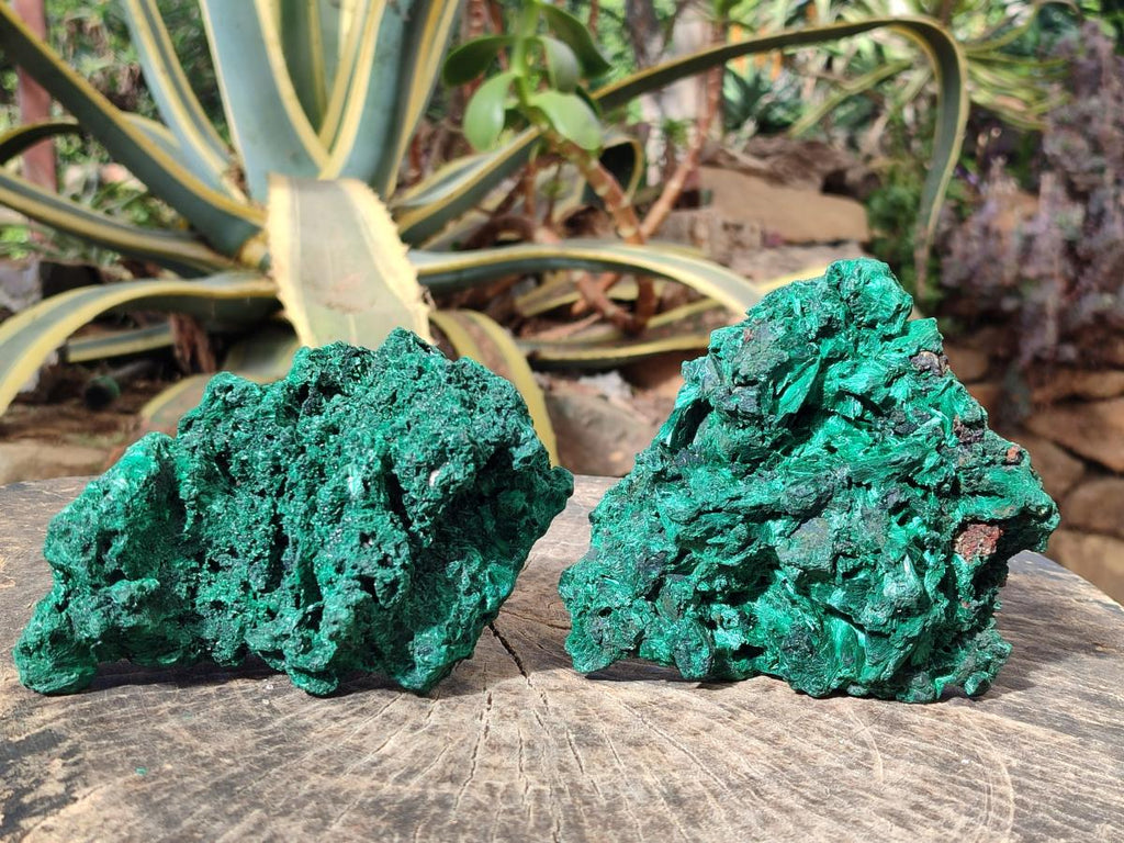 Natural Silky Malachite Cabinet Size Specimens x 2 From Kasompe, Congo