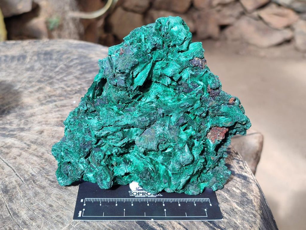 Natural Silky Malachite Cabinet Size Specimens x 2 From Kasompe, Congo