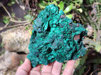 Natural Silky Malachite Cabinet Size Specimens x 2 From Kasompe, Congo