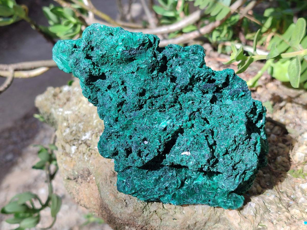 Natural Silky Malachite Cabinet Size Specimens x 2 From Kasompe, Congo