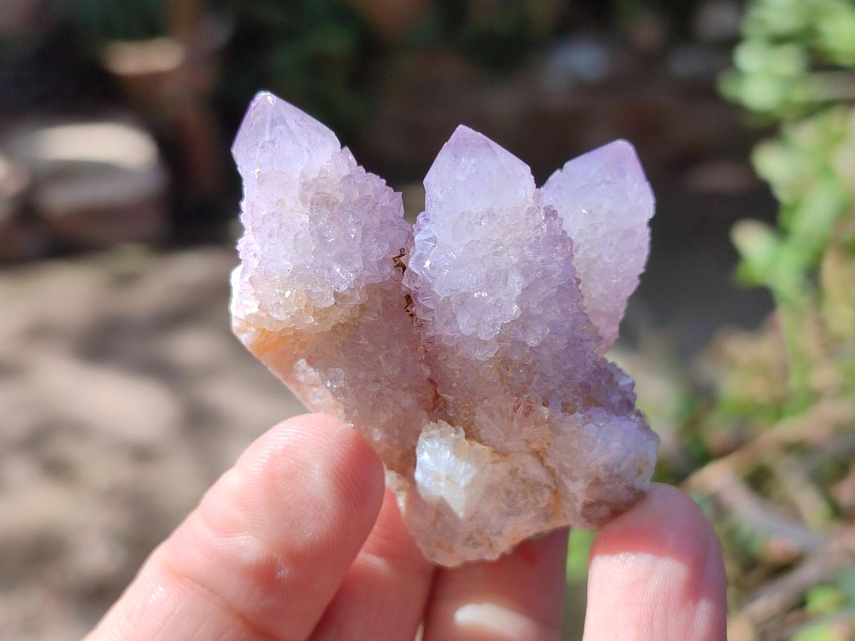 Natural Spirit Amethyst Clusters x 20 From Boekenhouthoek, South Africa