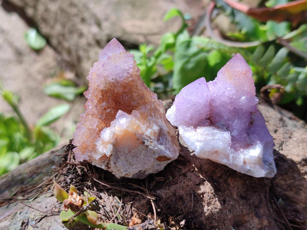 Natural Spirit Amethyst Clusters x 20 From Boekenhouthoek, South Africa