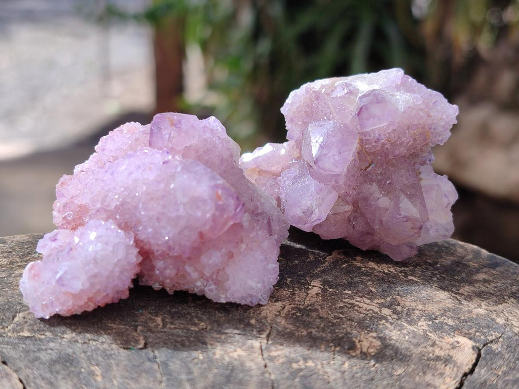 Natural Spirit Amethyst Clusters x 20 From Boekenhouthoek, South Africa
