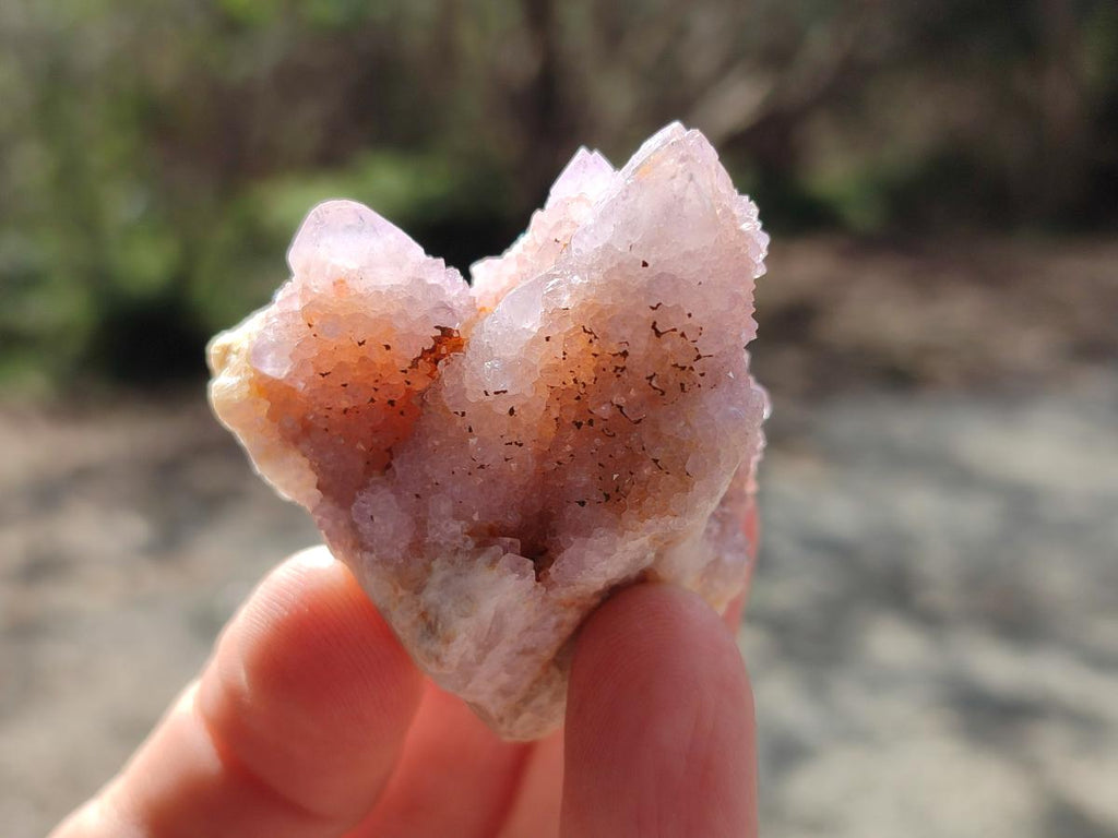 Natural Spirit Amethyst Clusters x 20 From Boekenhouthoek, South Africa