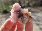 Natural Spirit Amethyst Clusters x 20 From Boekenhouthoek, South Africa