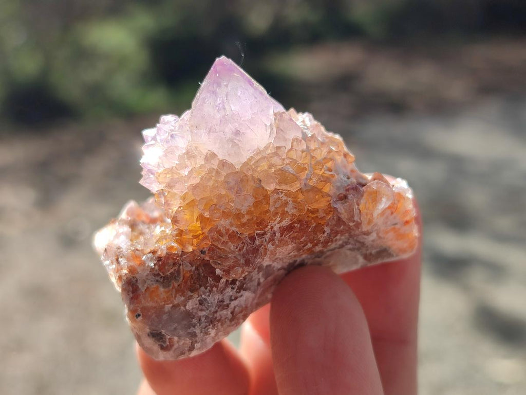 Natural Spirit Amethyst Clusters x 20 From Boekenhouthoek, South Africa