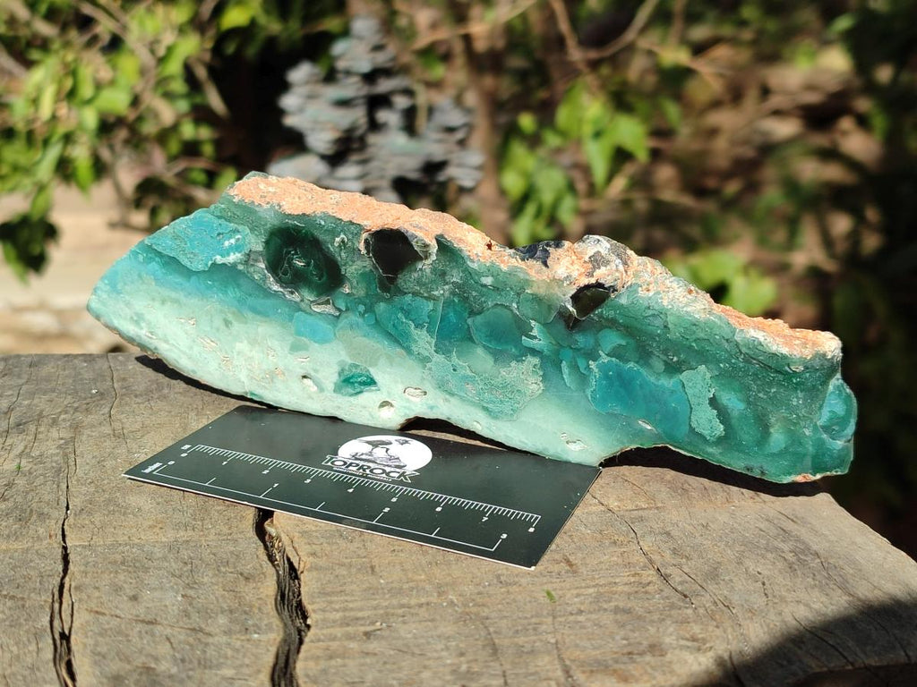 Polished One Side Great Dyke Mtorolite Chrysoprase Plates x 6 From Great Dyke Mountain Range, Zimbabwe - Toprock Gemstones and Minerals 