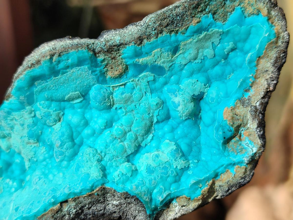 Natural Botryoidal Chrysocolla Specimens x 11 From Kulukuluku, Congo