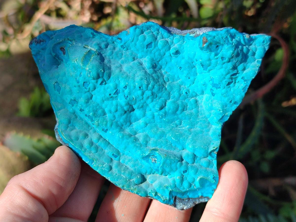 Natural Botryoidal Chrysocolla Specimens x 11 From Kulukuluku, Congo