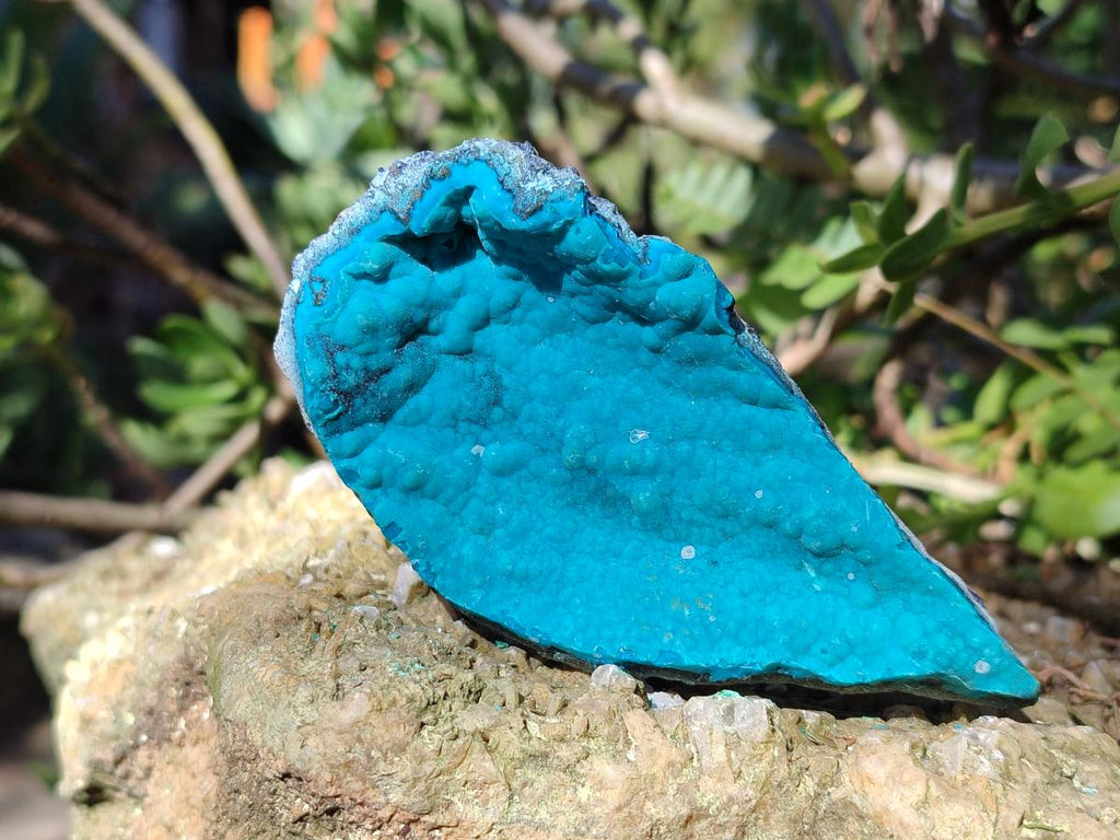 Natural Botryoidal Chrysocolla Specimens x 11 From Kulukuluku, Congo