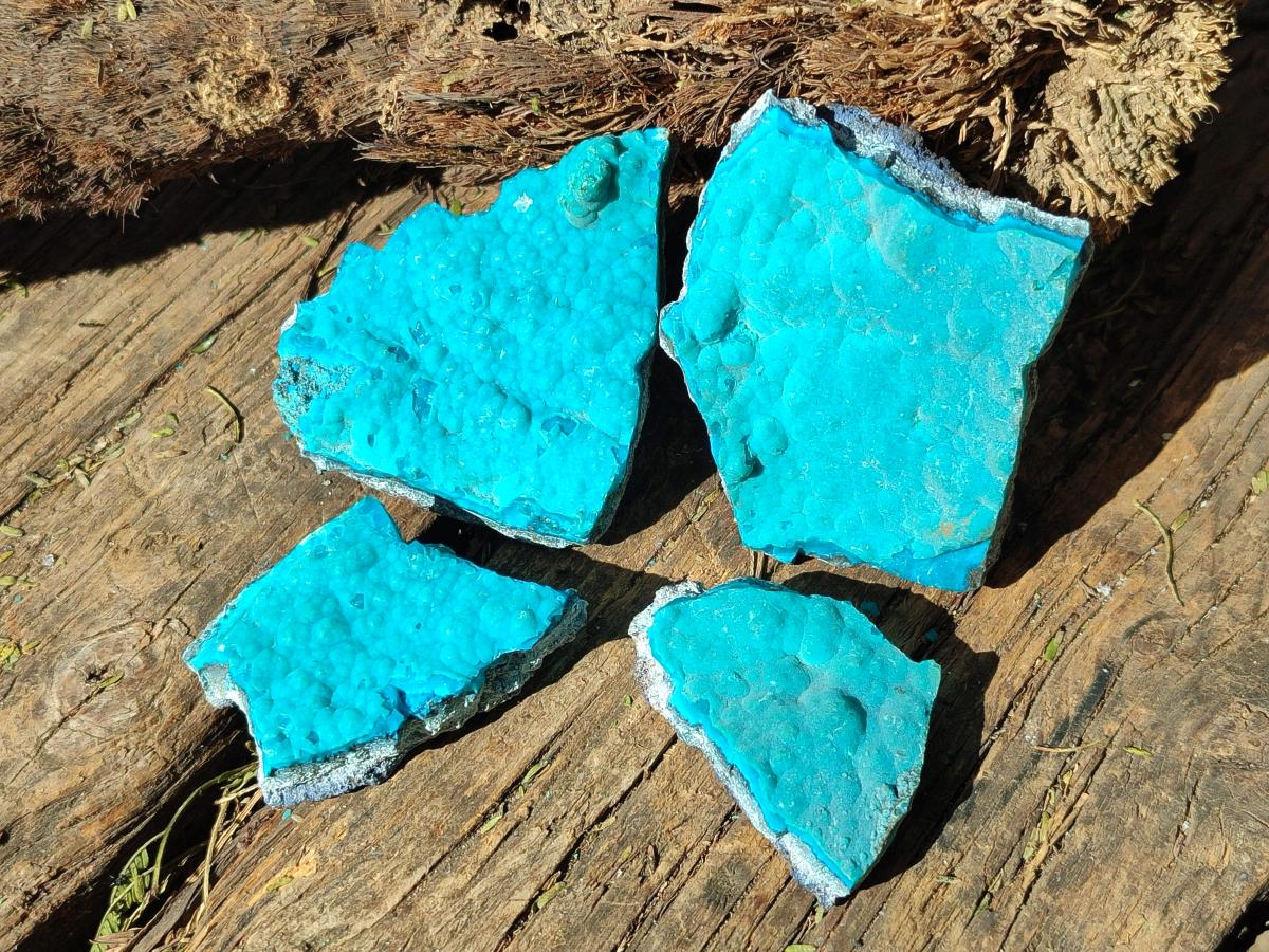 Natural Botryoidal Chrysocolla Specimens x 11 From Kulukuluku, Congo