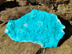 Natural Botryoidal Chrysocolla Specimens x 11 From Kulukuluku, Congo