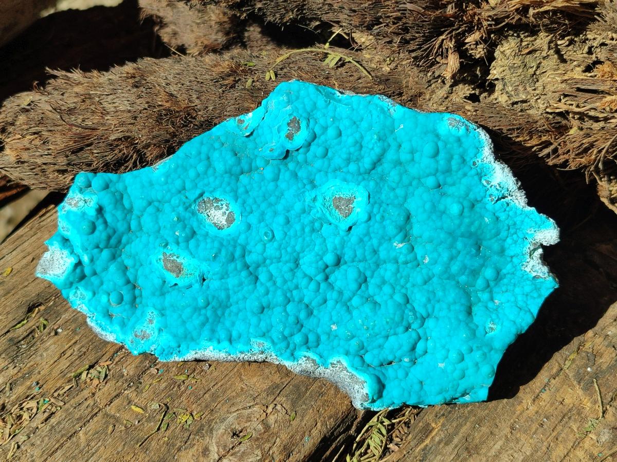 Natural Botryoidal Chrysocolla Specimens x 11 From Kulukuluku, Congo