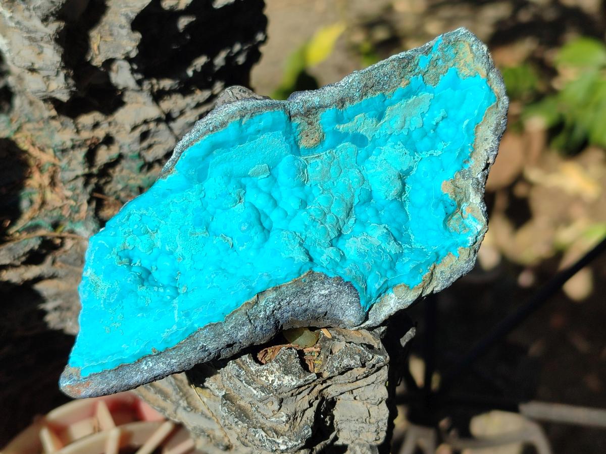 Natural Botryoidal Chrysocolla Specimens x 11 From Kulukuluku, Congo