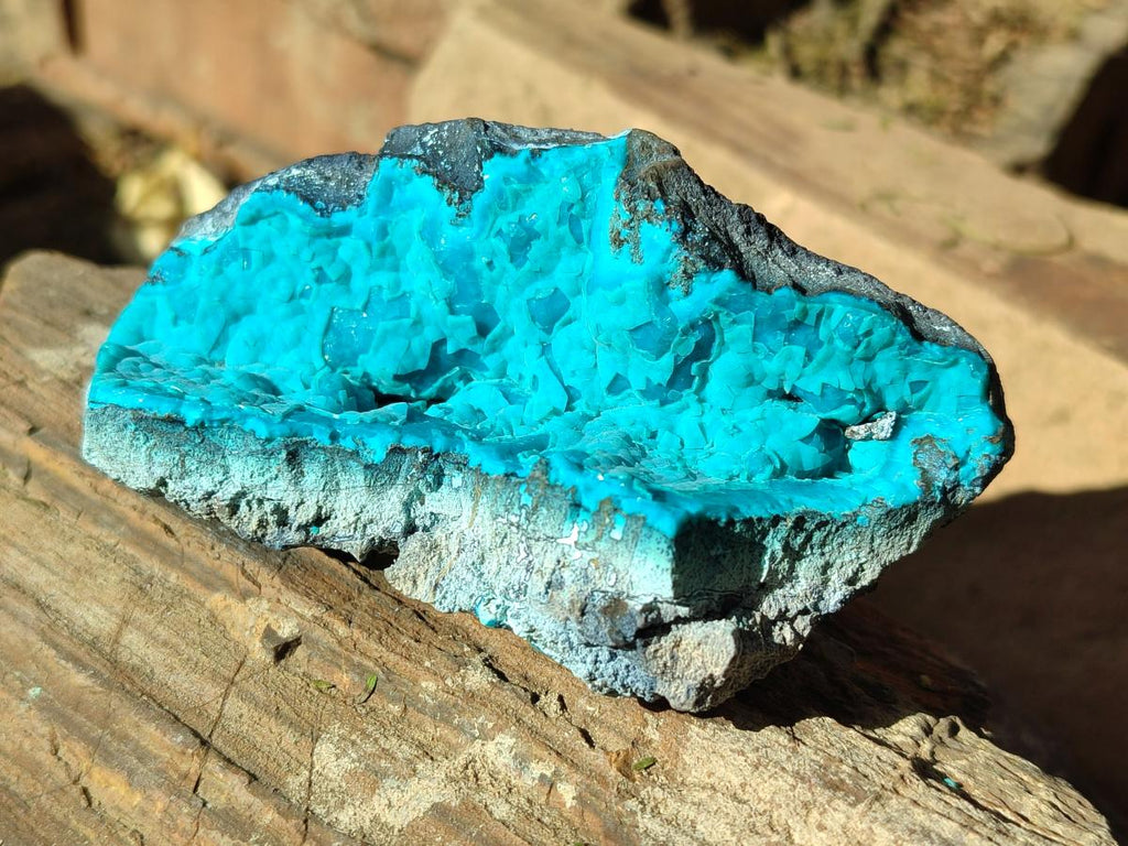 Natural Botryoidal Chrysocolla Specimens x 11 From Kulukuluku, Congo