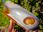 Polished Polychrome Jasper Bowl with Dragon Scale Pattern x 1 From NW Coast, Madagascar - Toprock Gemstones and Minerals 