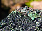 Natural Large Cabinet Sized Crystalline Libethenite Specimen on Dolomite Matrix x 1 From Shituru, Congo - Toprock Gemstones and Minerals 