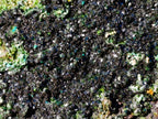 Natural Large Cabinet Sized Crystalline Libethenite Specimen on Dolomite Matrix x 1 From Shituru, Congo - Toprock Gemstones and Minerals 