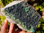 Natural Large Cabinet Sized Crystalline Libethenite Specimen on Dolomite Matrix x 1 From Shituru, Congo - Toprock Gemstones and Minerals 