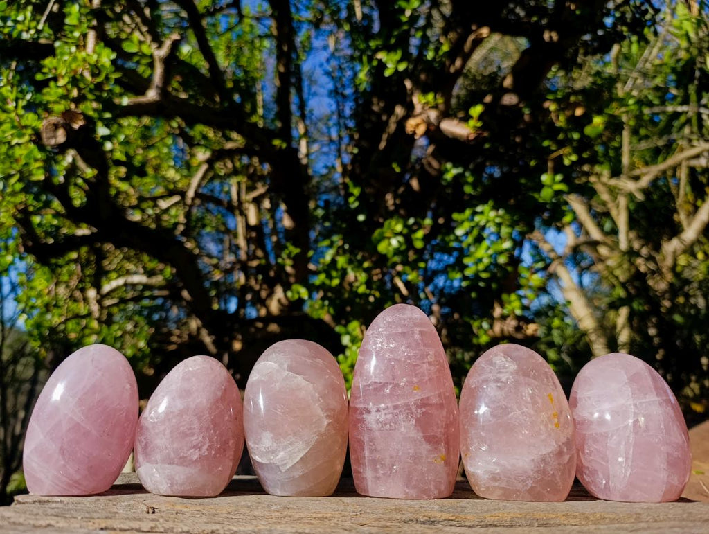 Polished Gemmy Rose Quartz Standing Display Pieces x 6 From Madagascar - Toprock Gemstones and Minerals 