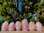 Polished Gemmy Rose Quartz Standing Display Pieces x 6 From Madagascar - Toprock Gemstones and Minerals 