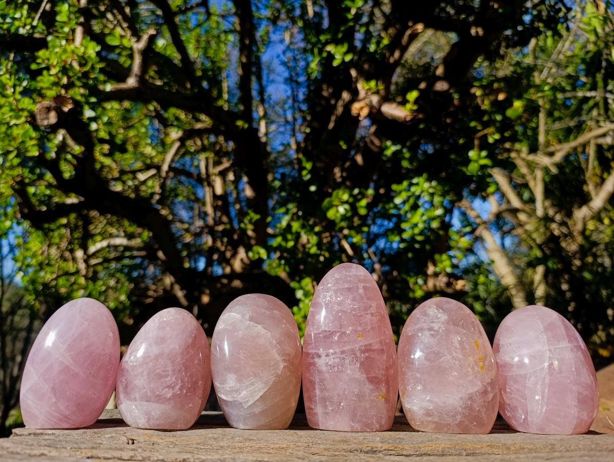 Polished Gemmy Rose Quartz Standing Display Pieces x 6 From Madagascar - Toprock Gemstones and Minerals 