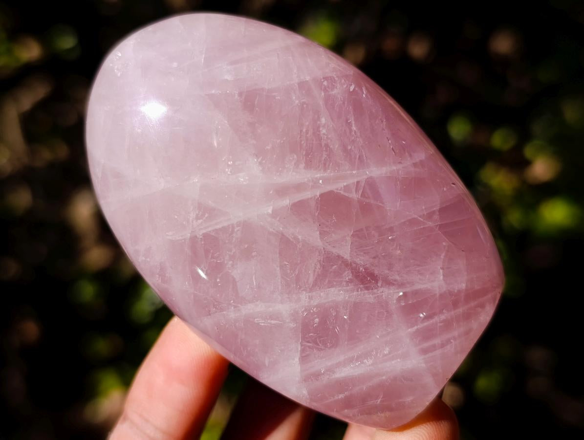 Polished Gemmy Rose Quartz Standing Display Pieces x 6 From Madagascar - Toprock Gemstones and Minerals 