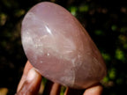 Polished Gemmy Rose Quartz Standing Display Pieces x 6 From Madagascar - Toprock Gemstones and Minerals 