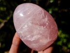 Polished Gemmy Rose Quartz Standing Display Pieces x 6 From Madagascar - Toprock Gemstones and Minerals 