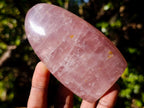 Polished Gemmy Rose Quartz Standing Display Pieces x 6 From Madagascar - Toprock Gemstones and Minerals 