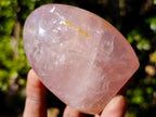 Polished Gemmy Rose Quartz Standing Display Pieces x 6 From Madagascar - Toprock Gemstones and Minerals 