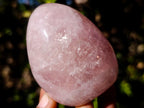 Polished Gemmy Rose Quartz Standing Display Pieces x 6 From Madagascar - Toprock Gemstones and Minerals 