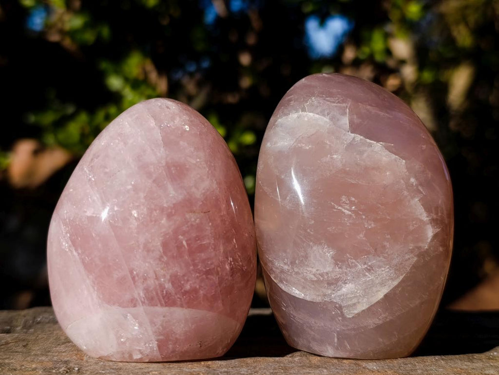 Polished Gemmy Rose Quartz Standing Display Pieces x 6 From Madagascar - Toprock Gemstones and Minerals 